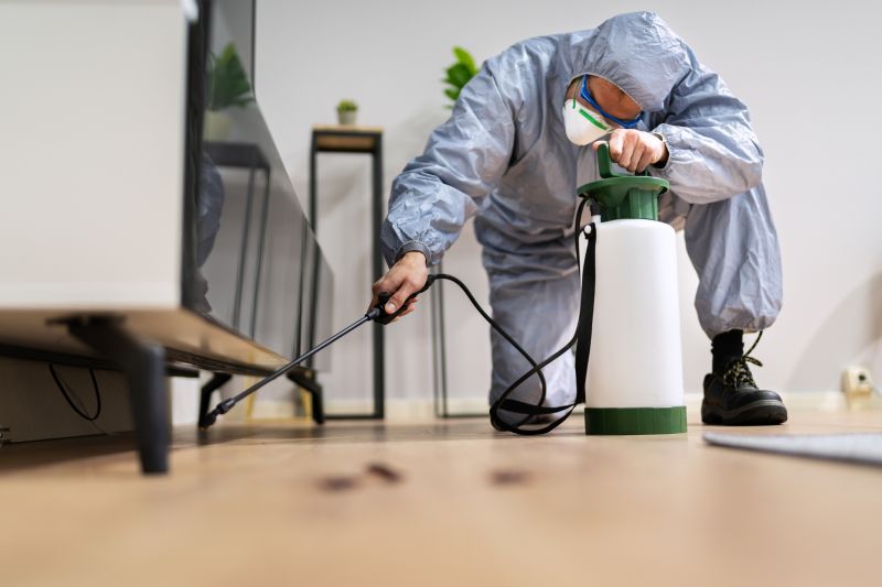 Ant Pest Control Methods That Target Colonies At The Source