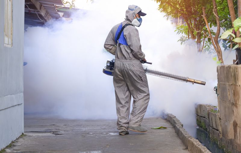Fly And Mosquito Control Strategies