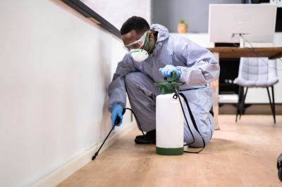 Insect Extermination Service